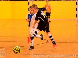 mini-Schlins-U9-Spiegl-DSC_1370